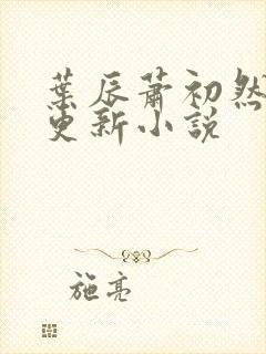 叶辰萧初然免费更新小说