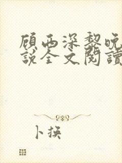 顾西深黎晚若小说全文阅读封面