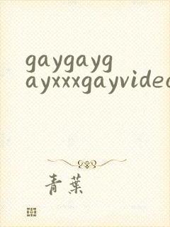 gaygaygayxxxgayvideos