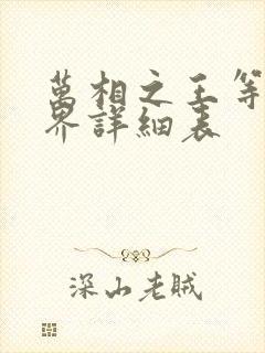 万相之王等级境界详细表