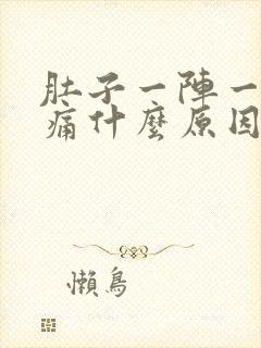 肚子一阵一阵的痛什么原因