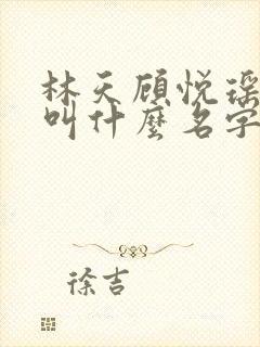 林天顾悦瑶小说叫什么名字封面