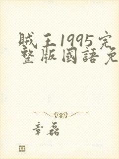 贼王1995完整版国语免费观看