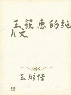 王筱惠的纯肉高h文