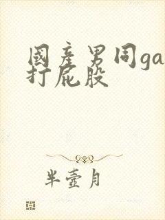 国产男同gay打屁股