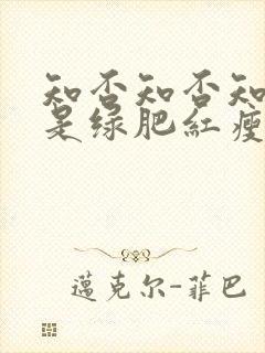 知否知否知否应是绿肥红瘦高清在线观看