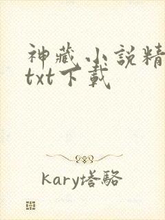 神藏小说精校版txt下载