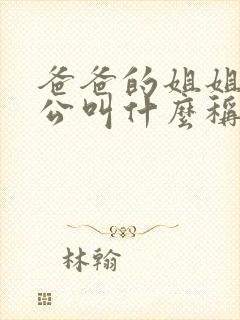 爸爸的姐姐的老公叫什么称呼封面