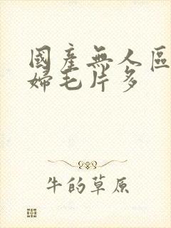 国产无人区码熟妇毛片多