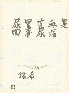 尿里有血是怎么回事尿痛