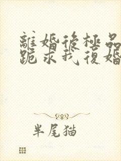 离婚后极品前夫跪求我复婚