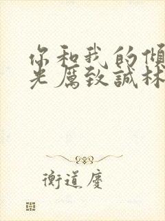 你和我的倾城时光厉致诚林浅