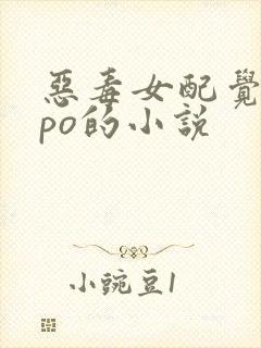 恶毒女配觉醒了po的小说封面