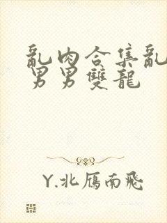 乱肉合集乱高h男男双龙