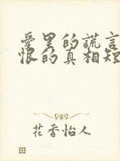 爱里的谎言,仇恨的真相短剧