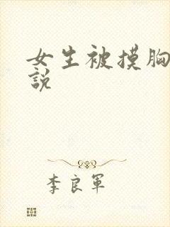 女生被摸胸的小说