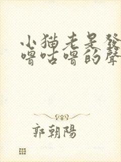 小猫老是发出咕噜咕噜的声音,怎么回事