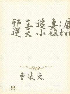 邪王追妻:废材逆天小姐txt封面