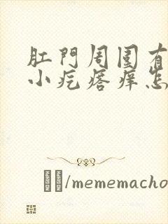 肛门周围有很多小疙瘩痒怎么回事