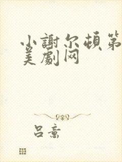 小谢尔顿第一季美剧网