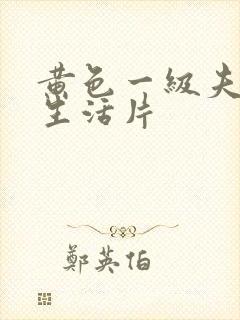 黄色一级夫妻性生活片