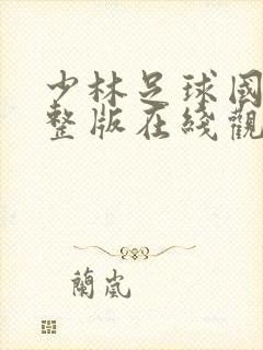 少林足球国语完整版在线观看