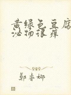 黄绿色豆腐渣分泌物很痒