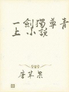 一剑独尊青鸾峰上 小说