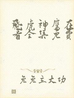 飞虎神鹰在线观看全集免费播放