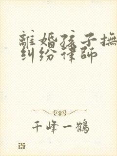 离婚孩子抚养权纠纷律师