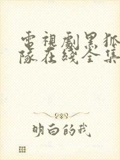 电视剧黑狐突击队在线全集播放