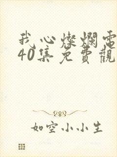 我心灿烂电视剧40集免费观看封面