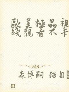 欧美极品视频在线观看不卡