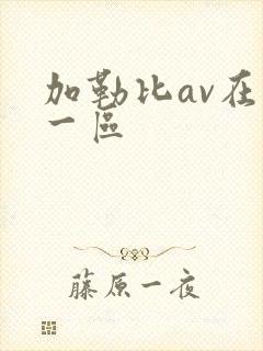 加勒比av在线一区