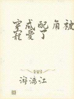 穿成配角被王子宠爱了封面