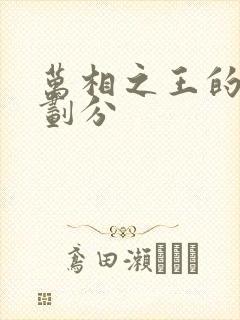 万相之王的境界划分封面