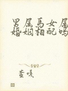 男属马女属龙的婚姻相配吗