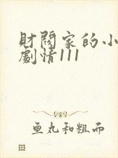 财阀家的小儿子剧情111