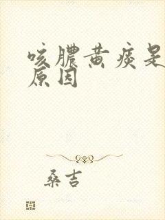 咳脓黄痰是什么原因