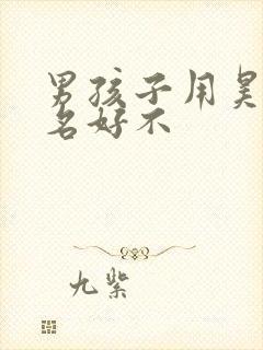 男孩子用昊字取名好不