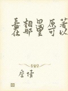 长相思原著小说在哪里可以看