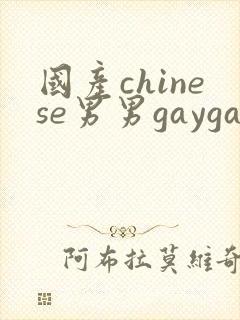 国产chinese男男gaygay网站封面