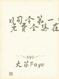 xl司令第一季免费全集在线观看