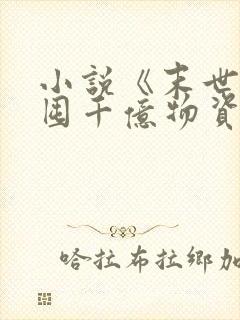 小说《末世:我囤千亿物资坐等天灾》