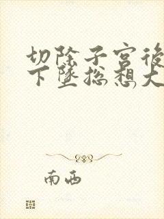 切除子宫后肚子下坠总想大便