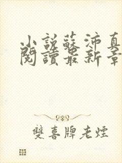 小说苏沛真全文阅读最新章节更新时间