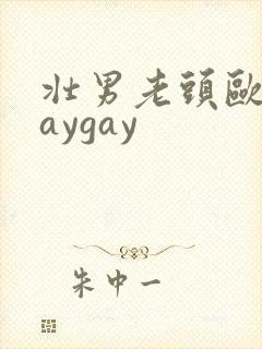 壮男老头欧美gaygay封面