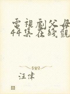 电视剧父母爱情44集在线观看