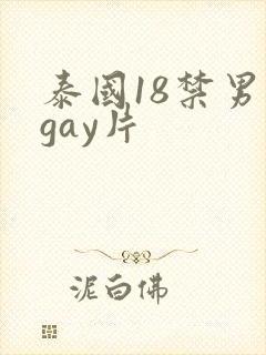 泰国18禁男男gay片
