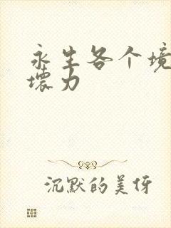 永生各个境界破坏力